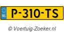 P310TS