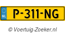 P311NG