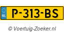 P313BS