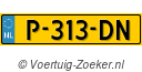P313DN