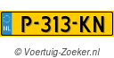 P313KN
