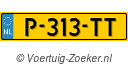 P313TT
