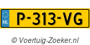 P-313-VG