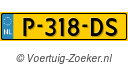 P318DS