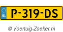 P319DS