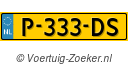 P333DS