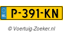 P391KN
