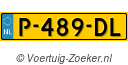 P489DL