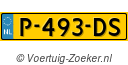 P493DS