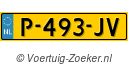 P493JV