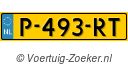 P493RT