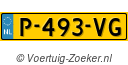 P493VG