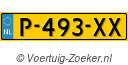 P493XX