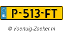 P513FT