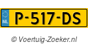 P517DS