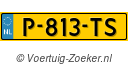 P813TS