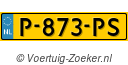 P873PS