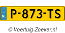 P873TS