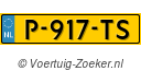 P917TS