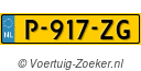 P917ZG