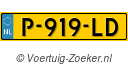 P-919-LD