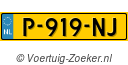 P919NJ