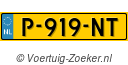 P919NT