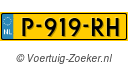 P919RH