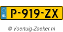 P919ZX