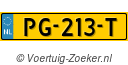 PG213T