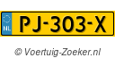 PJ303X