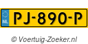 PJ890P