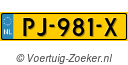 PJ981X