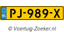 PJ989X