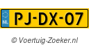 PJDX07