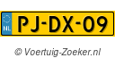 PJDX09