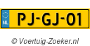 PJ-GJ-01