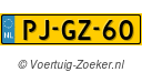 PJGZ60