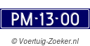 PM1300