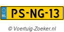PSNG13