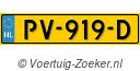 PV919D