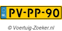 PVPP90