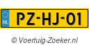 PZHJ01