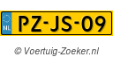 PZ-JS-09