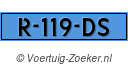 R119DS