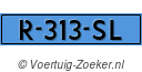 R313SL