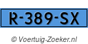 R389SX