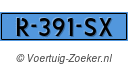 R391SX