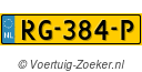 RG384P