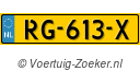 RG613X